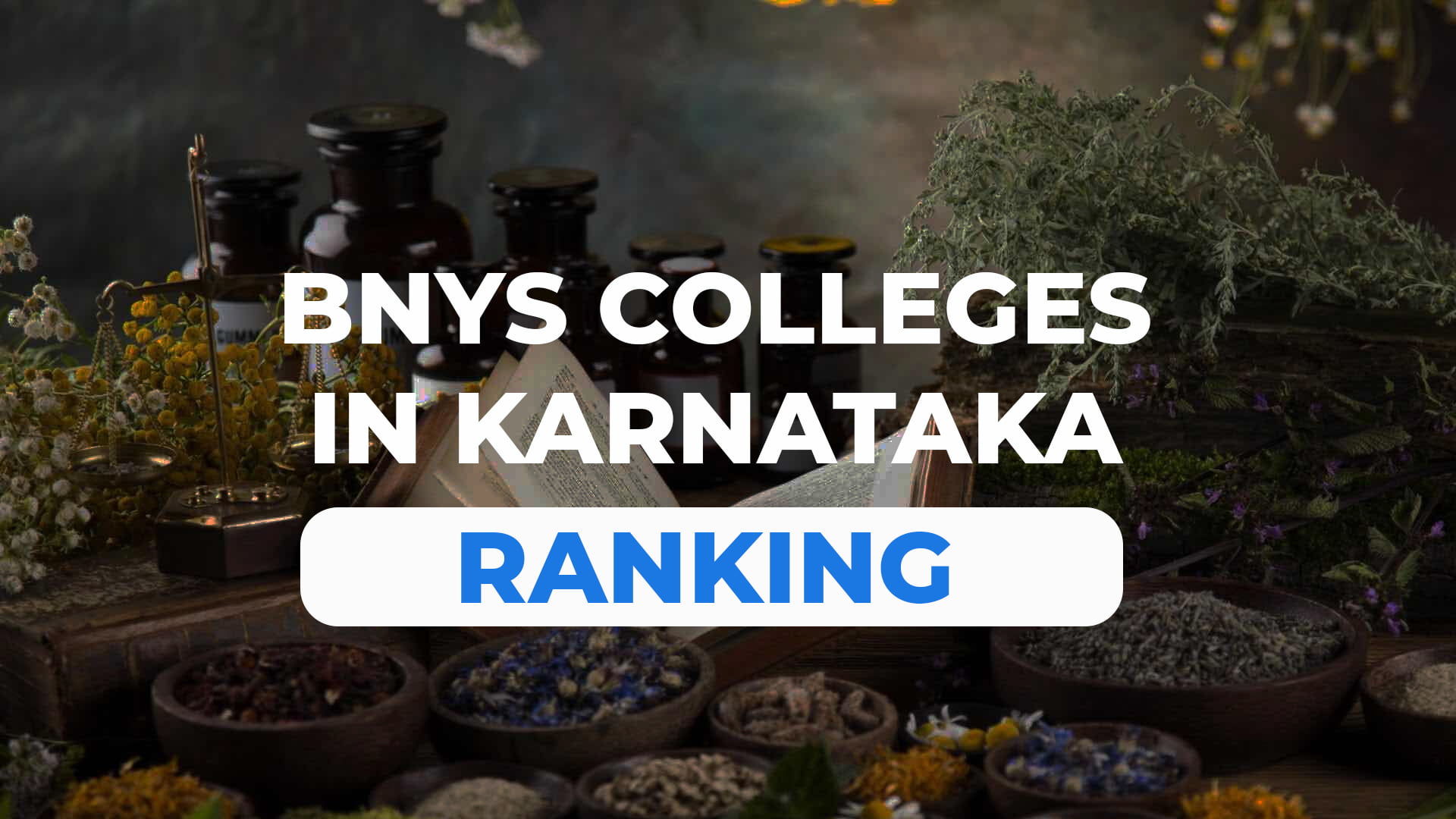 BNYS Colleges in Karnataka Fee Structure Admission